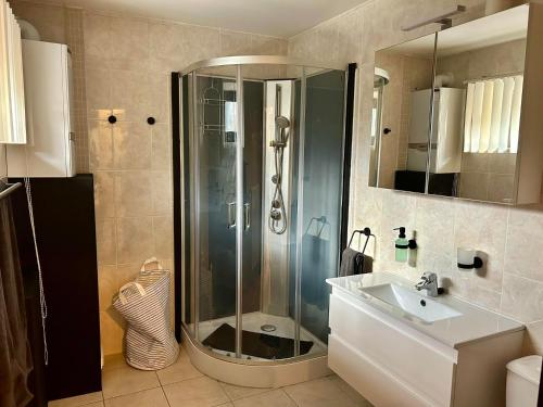 La salle de bains est pourvue d'une douche et d'un lavabo. dans l'établissement L AUBERGE DE l Entre Potes Scandinavia, à Ath