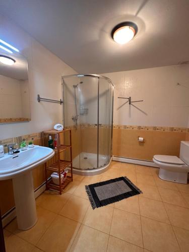a bathroom with a shower and a sink and a toilet at El rincón acogedor in Medina de Pomar