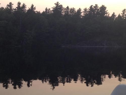 a view of a lake with trees in the background at Little Hawk Resort & Marina in Algonquin Highlands