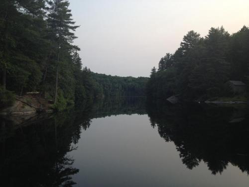 a view of a river with trees in the background at Little Hawk Resort & Marina in Algonquin Highlands