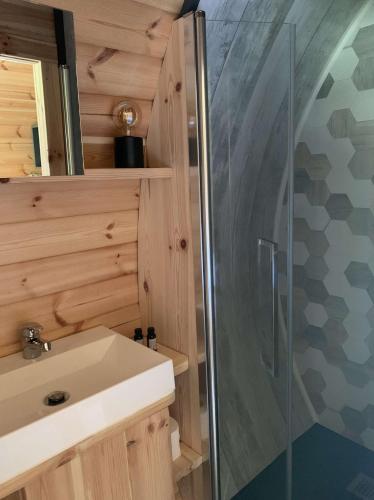 une salle de bain avec un lavabo et une douche dans l'établissement A Chjusella di E Sertine, à Tralonca