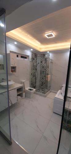 a bathroom with a shower and a toilet and a sink at Meliyer cheerful 3 bedrooms villa at perebere in Pereybere