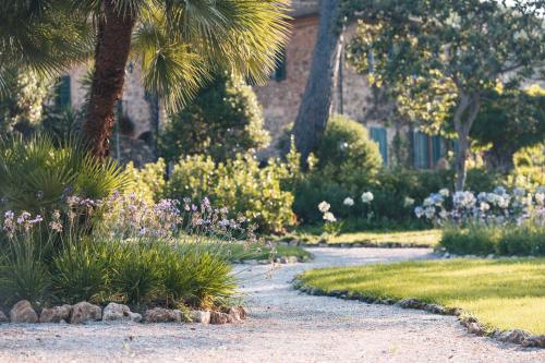 a garden with a palm tree and a sidewalk at Tenuta Il Cicalino in Massa Marittima