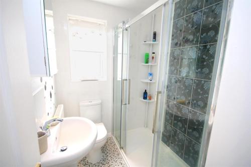 a bathroom with a shower and a sink and a toilet at No1 Apartment House in Stainforth