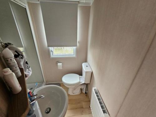 a small bathroom with a toilet and a sink at Betty in Meliden