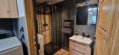 La salle de bains est pourvue d'une douche, d'un lavabo et de toilettes. dans l'établissement Apartament Karkonoski Zen z kominkiem pod Chojnikiem, à Jelenia Góra