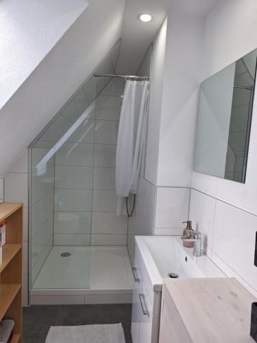 baño blanco con ducha y lavamanos en Ferienwohnung im Springerhof, en Lohr