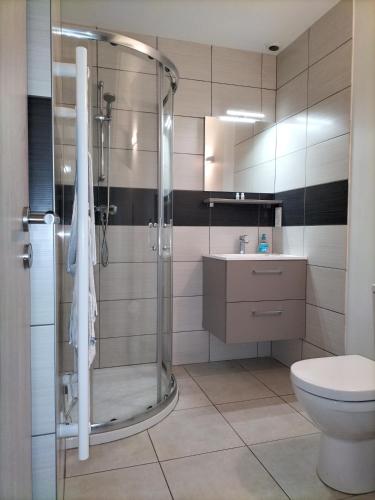 une salle de bain avec une douche, des toilettes et un lavabo dans l'établissement Appart'Hôtel Les ACACIAS courte et longue durée, à Bischoffsheim