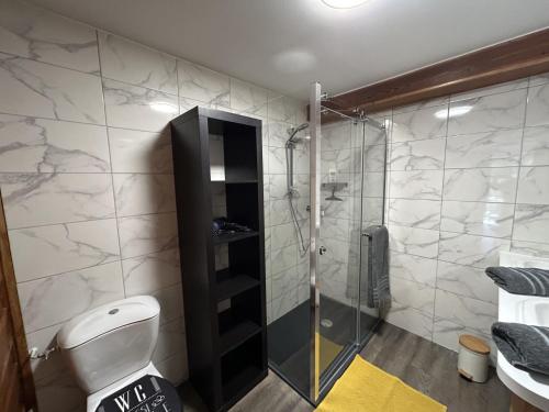 een badkamer met een douche en een toilet bij Escargot de Neige in La Bresse