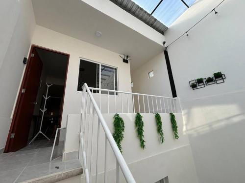 un escalier dans une maison ornée de plantes vertes dans l'établissement Sophistication and Rest , Room, Bathroom, Kitchen, à Xalapa