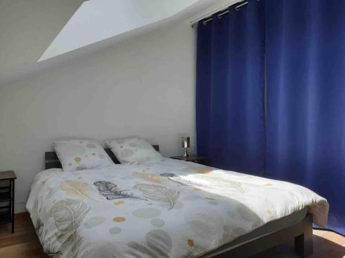 1 dormitorio con 1 cama grande y cortinas azules en Appart’ terrasse vue exceptionnelle 1er étage en Montbéliard