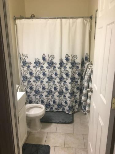 a bathroom with a toilet and a shower curtain at The couples home in Schenectady