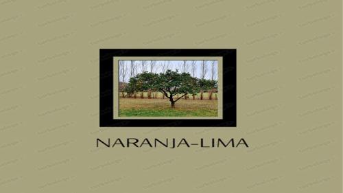 Naranja-Lima