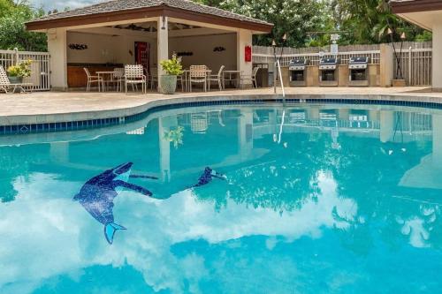two dolphins in the water in a swimming pool at Luxury Condo at Kameole Beach T106 in Wailea