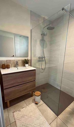une salle de bain avec une douche en verre et un lavabo dans l'établissement Maisonnette avec vue Montagne et jardin, à Gerde