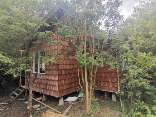 una casa que se está construyendo en el bosque en RÍO BLANCO Leufu Liq, en Hornopirén