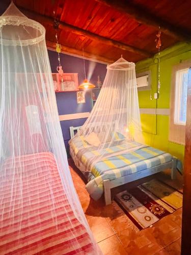 a bedroom with a bed with mosquito nets at CABAÑA LA BOHEMIA in Colonia Hughes