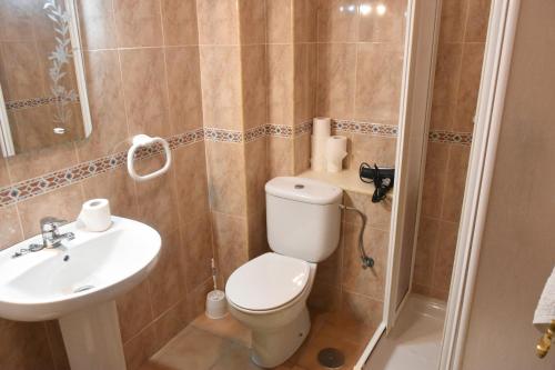 a bathroom with a toilet and a sink at Apartamentos rurales Entrecaminos in Ardales