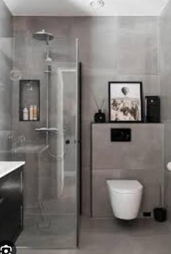 ein Bad mit einer Dusche und einem WC in der Unterkunft ZENTRALO in Aschaffenburg