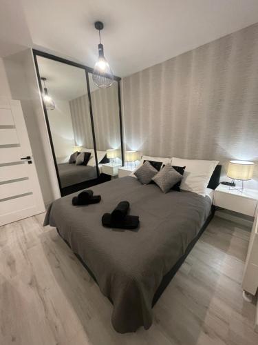 1 dormitorio con 1 cama grande y espejo grande en ST55 Apartament, en Rzeszów