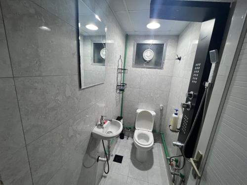 a small bathroom with a toilet and a sink at Single bed hosted by dinar apartments in Abu Dhabi