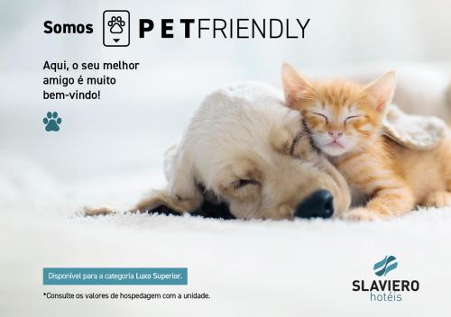 un chien et un chat pondent l'un à côté de l'autre dans l'établissement Slaviero Guarulhos Aeroporto, à Guarulhos