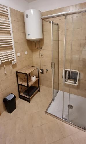 a shower with a glass door in a bathroom at Apartmani Sunce i More in Premantura