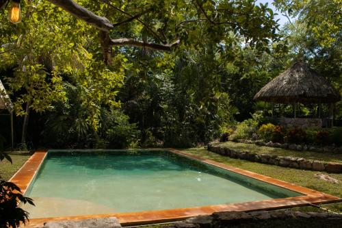 Hoctún的住宿－Casa Rancho- Finca única en Yucatán，一座房子的院子内的游泳池