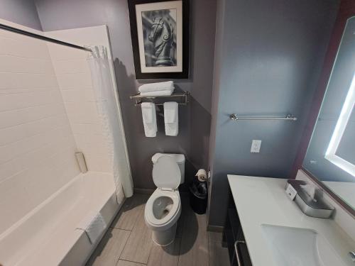 a bathroom with a toilet and a tub and a sink at Del-Mar Airport Inn & Suites in Shreveport