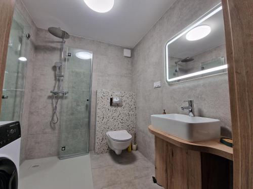 y baño con lavabo, ducha y aseo. en Apartament SOSNY 2, en Skarszewy