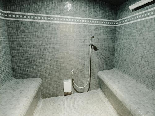 La salle de bains est pourvue d'une douche et d'un mur carrelé. dans l'établissement Domein Westhoek, à Oostduinkerke