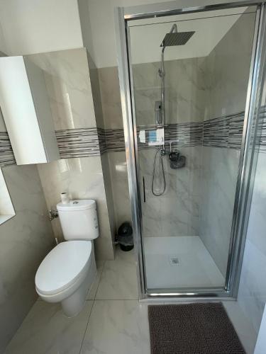 a bathroom with a toilet and a shower at *Veranda's rooms* - Free parking in central Lugano in Lugano