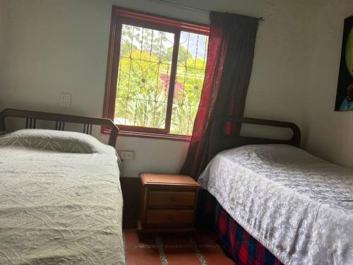 1 dormitorio con 2 camas y ventana en Green farm, with dry/wet, and near infrared sauna, en Caldas