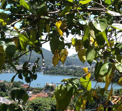 a view of a lake through the leaves of a tree at Casa para temporada, represa Bortolan Poços de Caldas in Poços de Caldas