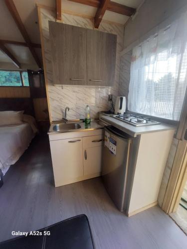 a small kitchen with a sink and a stove at La RUCA DEL VIAJERO in Valdivia