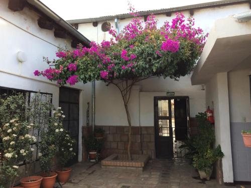 卡法亞特的住宿－Hostería El Zaguan，一座有树的建筑,上面有粉红色的花朵