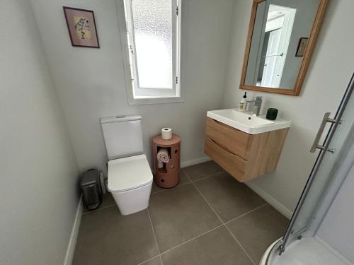 PukenuiにあるGreen Turtle Cottageのバスルーム(トイレ、洗面台、鏡付)