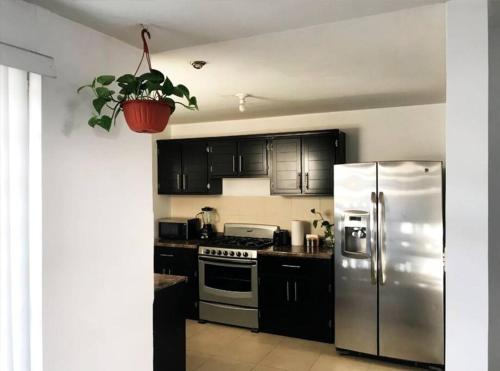 eine Küche mit einem Kühlschrank aus Edelstahl und einer Topfpflanze in der Unterkunft Great house in Monterrey 3 bedroom wifi AC parking in Monterrey