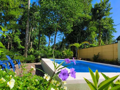 un jardín con piscina y flores púrpuras en Casa Black Chaini, en Puerto Viejo