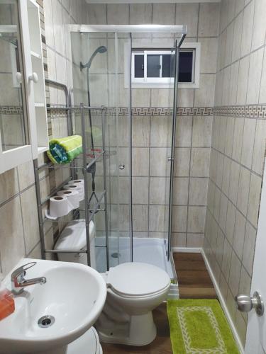 ein Bad mit einem WC, einem Waschbecken und einer Dusche in der Unterkunft Casa en Peñuelas in Coquimbo