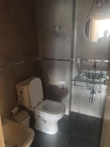a small bathroom with a toilet and a sink at Dpto San Martin in San Salvador de Jujuy
