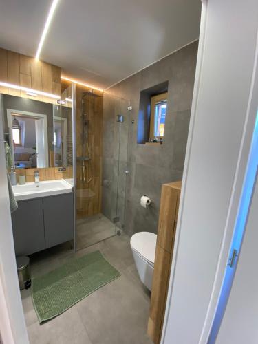 a bathroom with a shower and a toilet and a sink at Chata Petra in Oravský Biely Potok