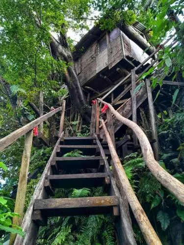Castle Tree House And Bungalow
