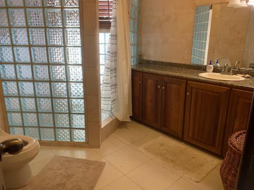 a bathroom with a toilet and a sink at ECO House with Sea View in Bastimentos