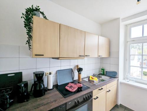 a kitchen with wooden cabinets and a counter top at HW3 - Urlaubsmagie - Helle, große Wohnung mit Pool in Sebnitz