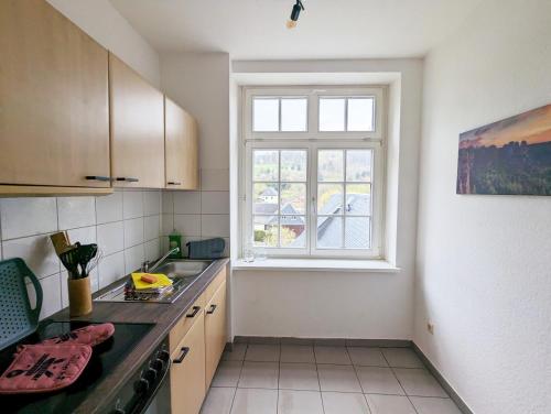 a kitchen with a sink and a window at HW3 - Urlaubsmagie - Helle, große Wohnung mit Pool in Sebnitz