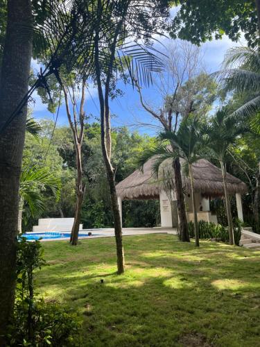 um resort com um telhado de relva e uma piscina em Playa Car house em Playa del Carmen