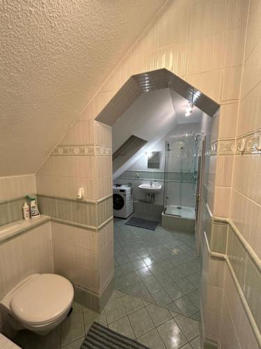 an attic bathroom with a toilet and a sink at Parkplätze, Einzelbetten, 2 Balkone, fast Wi-Fi 100 Mbit, Homeoffice, Aufzug, lichtdurchflutet, Panoramablick in Erlensee