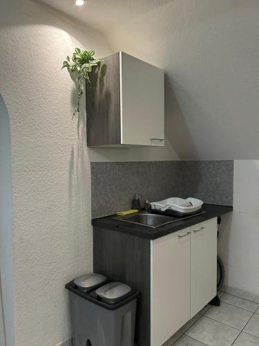 a small kitchen with a sink and a trash can at Parkplätze, Einzelbetten, 2 Balkone, fast Wi-Fi 100 Mbit, Homeoffice, Aufzug, lichtdurchflutet, Panoramablick in Erlensee