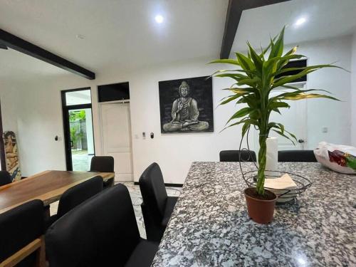a dining room with a table with a plant on it at Rancho Hope in San Rafael Norte